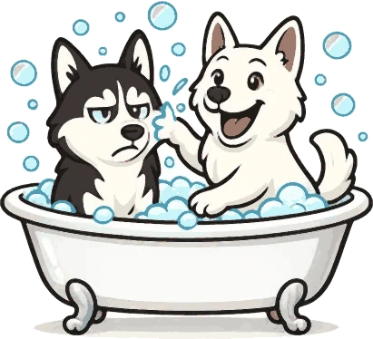 Illustration : un husky et un berger blanc dans une baignoire pleine de mousse