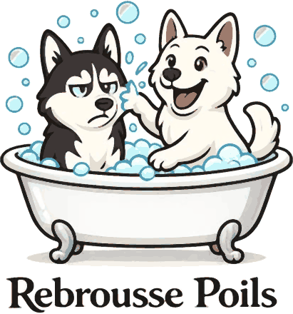 Rebrousse Poils — un husky et un berger blanc dans une baignoire